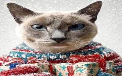 🐈‍⬛ DISCOUNTED BOOKS – DECEMBER ONLY!!! 🎄🎄