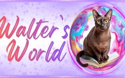 🐈⬛ Heated Rivalry Fangirl Squee 🏒⛸️